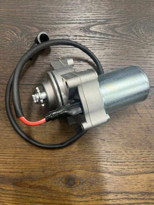 STARTING MOTOR(STARTER)