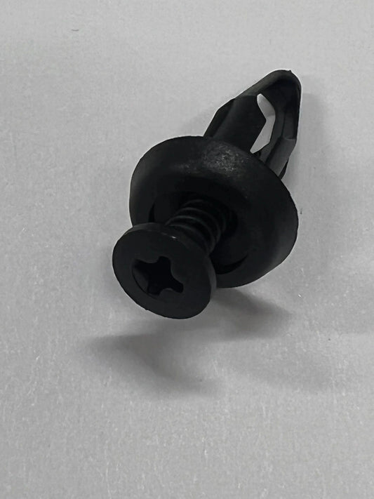 anchoring-screw