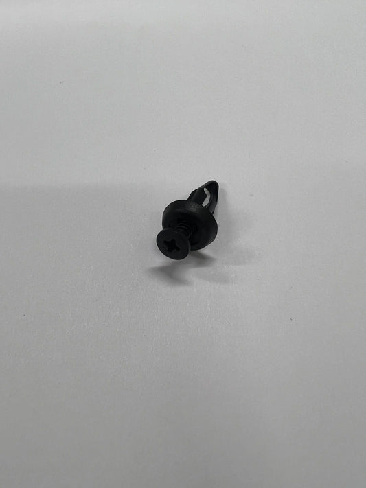 Anchoring screw