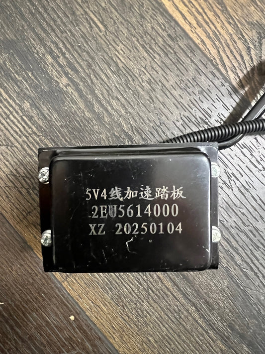 Accelerator Pedal ASSY