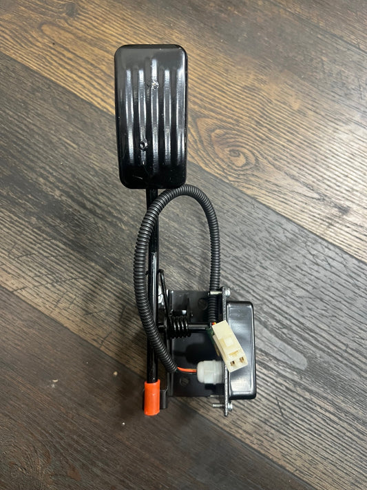 Accelerator Pedal ASSY