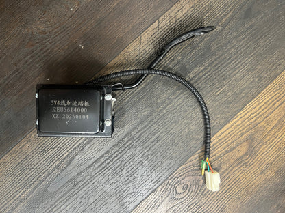 Accelerator Pedal ASSY